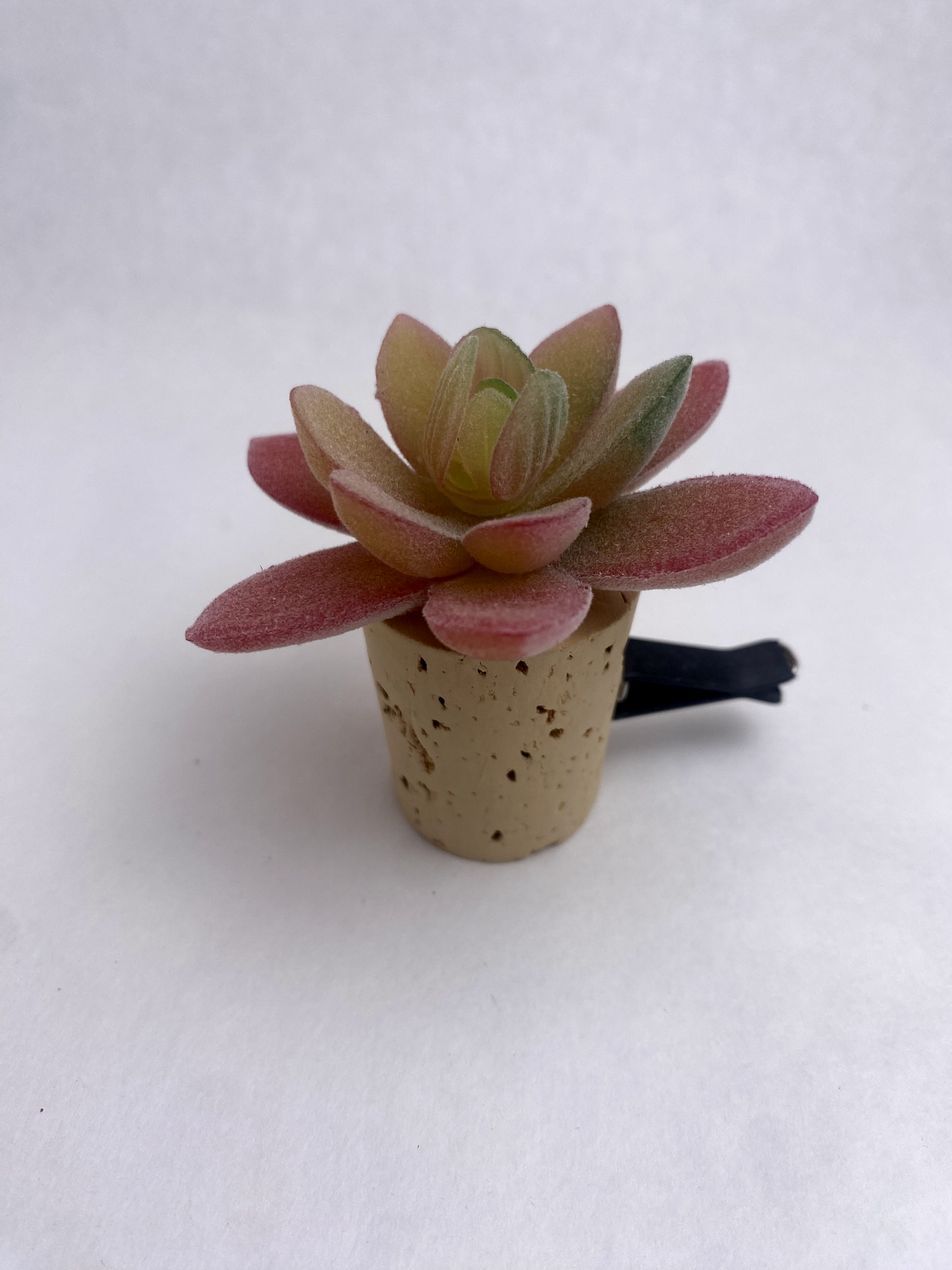 Succulent Car Vent Diffuser