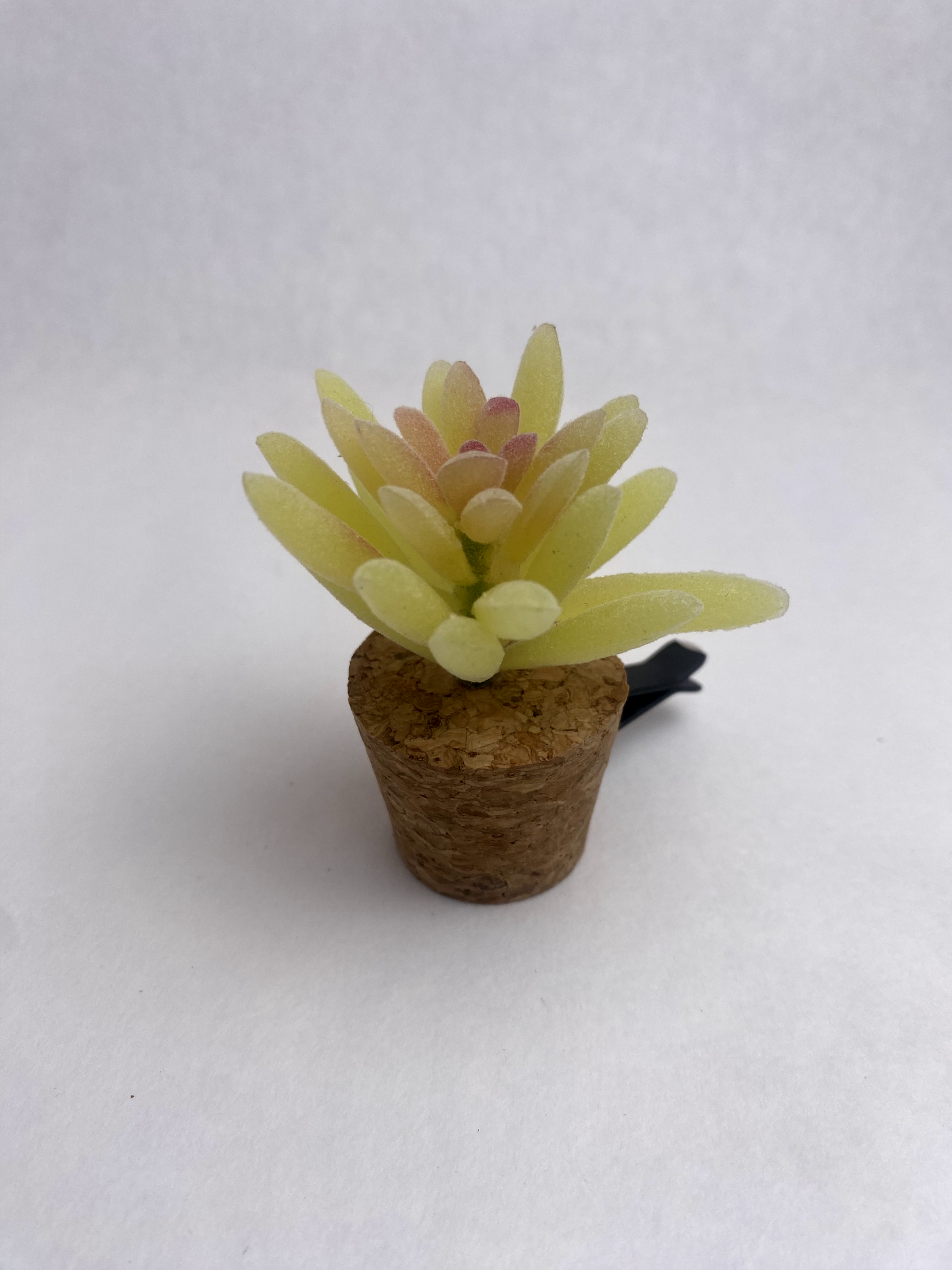 Succulent Car Vent Diffuser