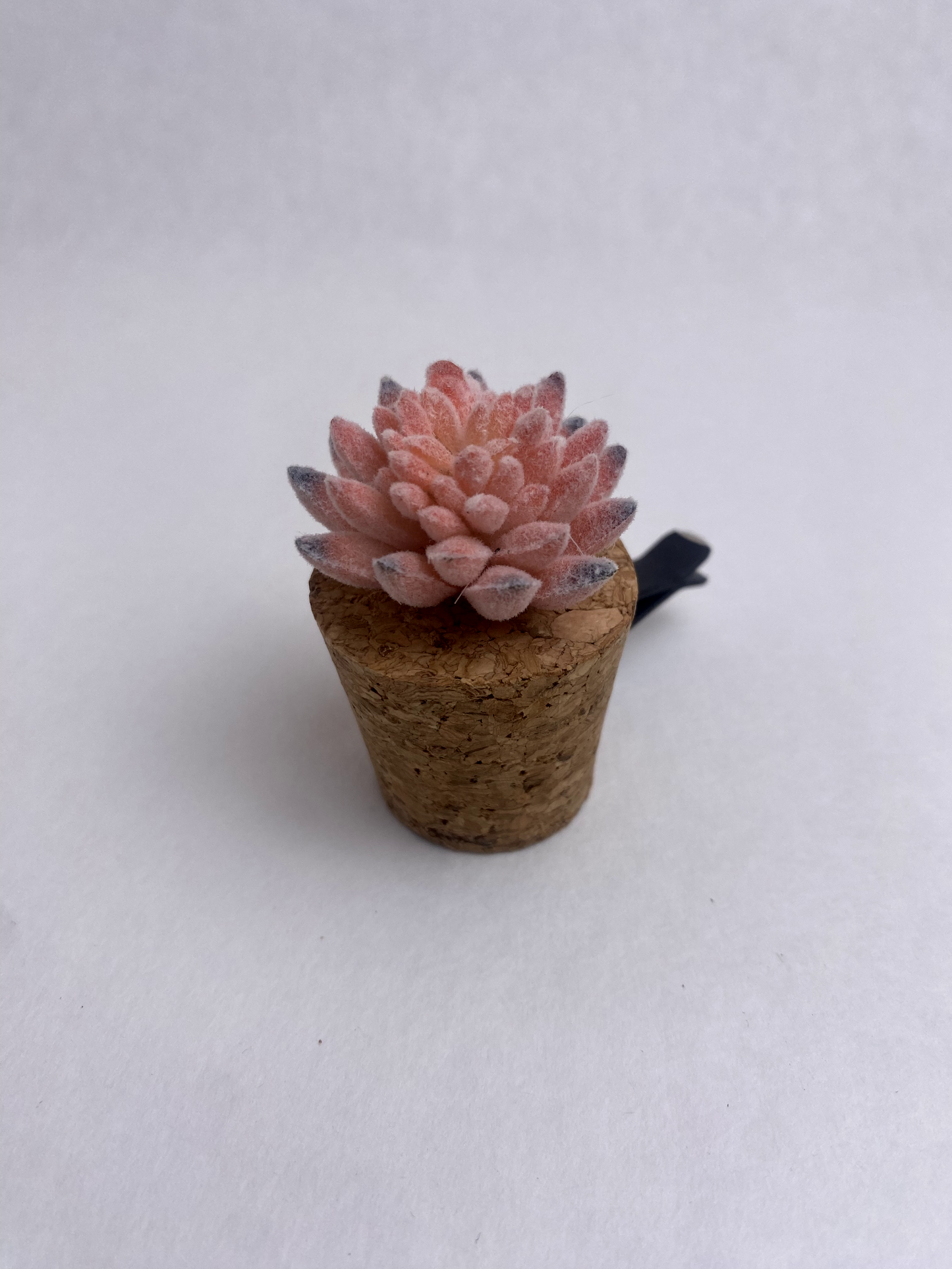 Succulent Car Vent Diffuser