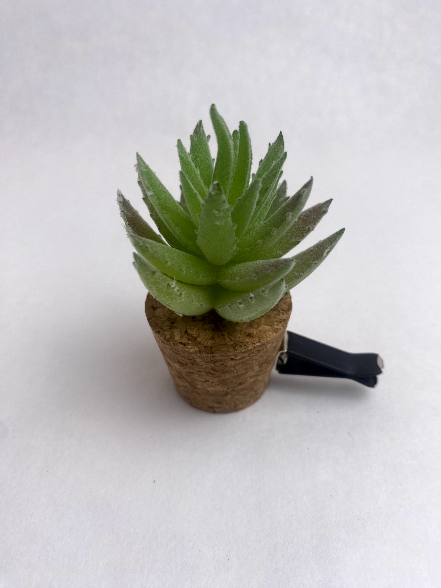 Succulent Car Vent Diffuser