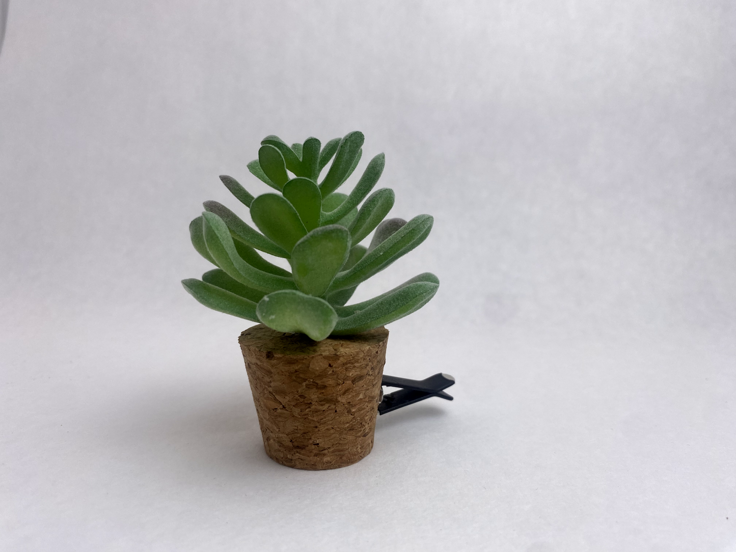 Succulent Car Vent Diffuser