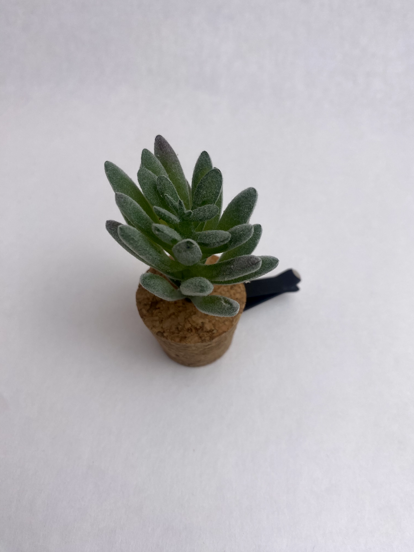 Succulent Car Vent Diffuser