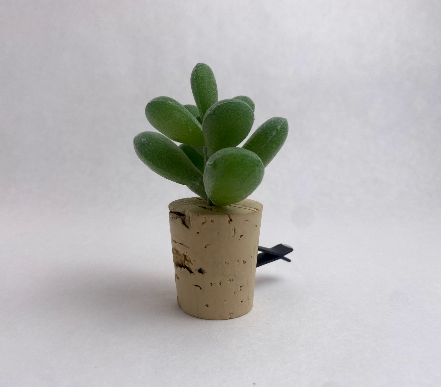 Succulent Car Vent Diffuser