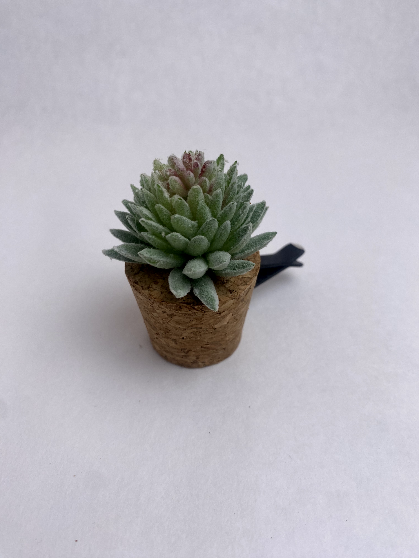 Succulent Car Vent Diffuser