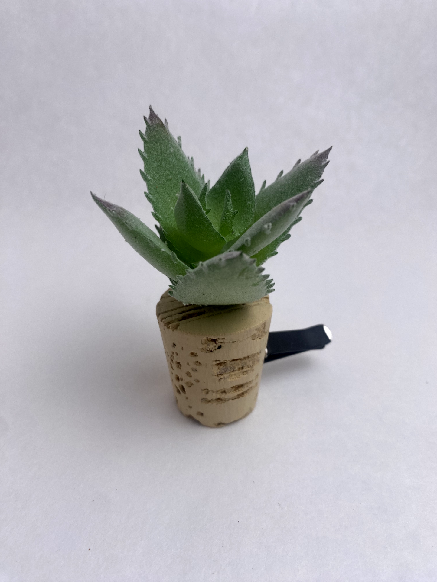 Succulent Car Vent Diffuser